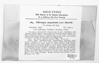 Image Associated With the Occurence